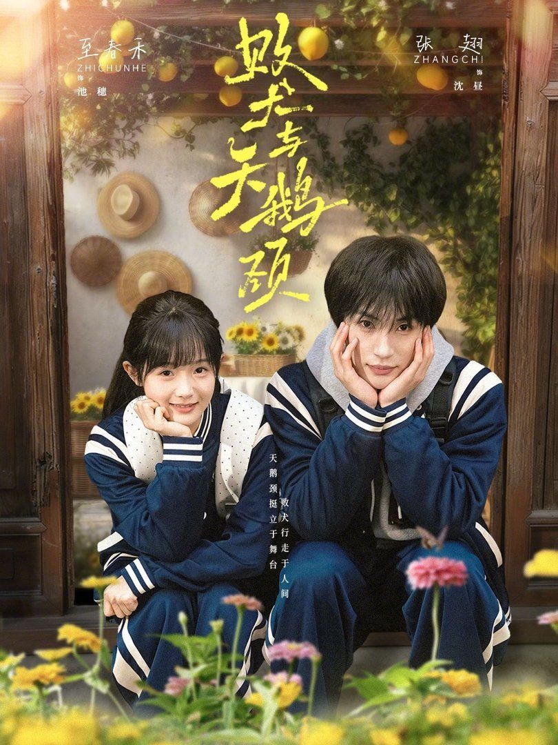 综艺海报